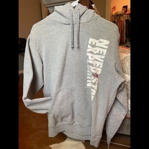 Sweatshirt Gray North Face pull-over